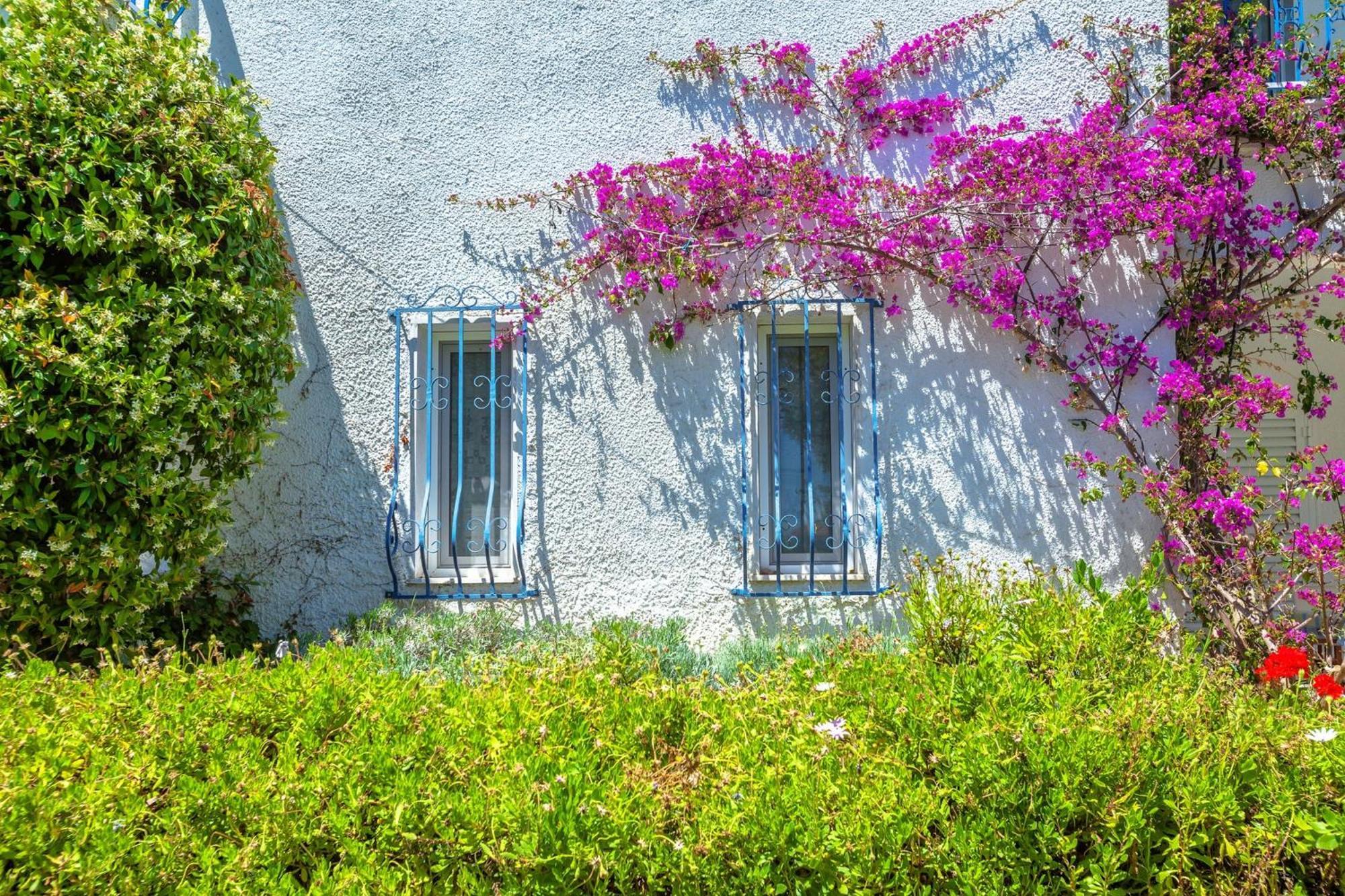 Xenios Faros Apartments 波塞蒂 外观 照片